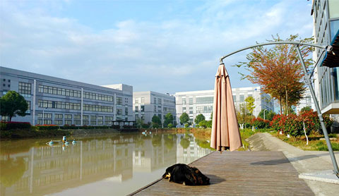 “綻放微笑 快樂工作”║奧聯微笑日活動